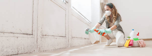 Best Industrial Mold Remediation  in Ocoee, FL